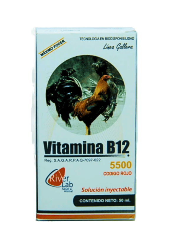 Vitamina B12 5500 de 50 ml